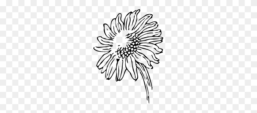229x309 Sunflower Black White Line Art Tattoo Tatoo Variety - Sunrise Clipart Black And White