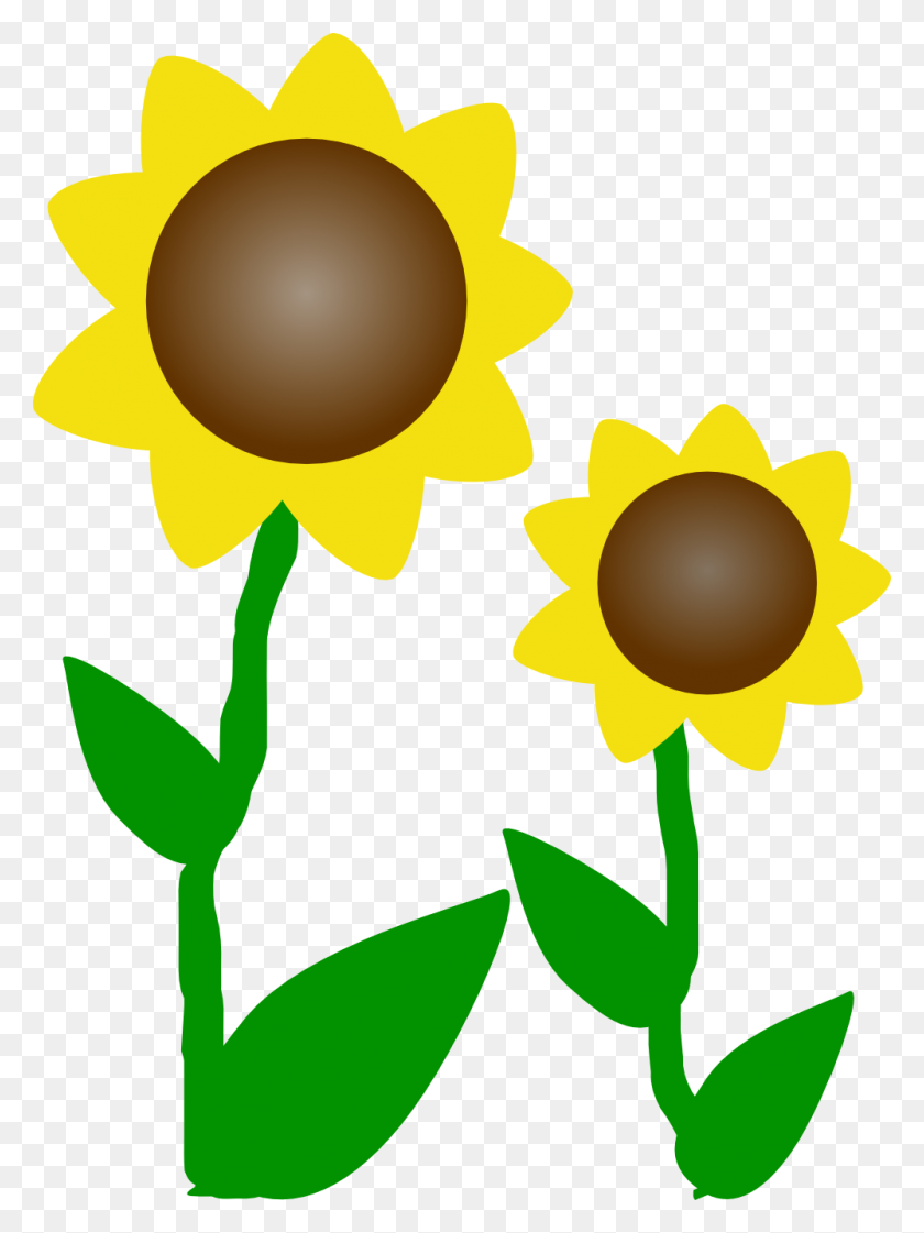999x1359 Sunflower Border Clipart - Small Flowers Clipart
