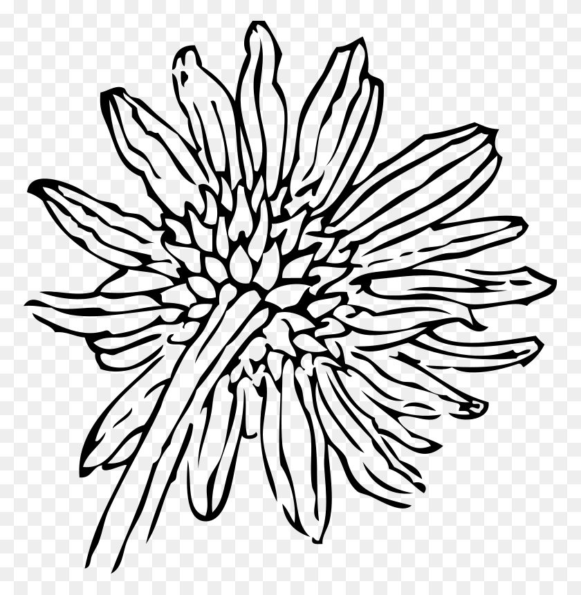 772x800 Sunflower Clip Art Black And White - Sunflower Clipart Outline