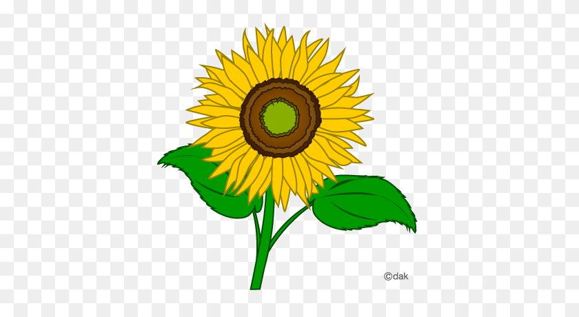 Sunflower Clip Art Free Clipart Images Clipartbold Png Sunflower