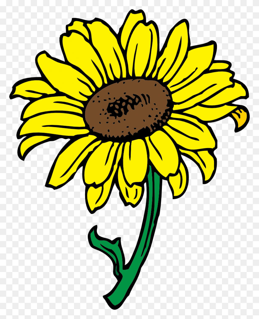 802x1000 Sunflower Clip Art Free Printable - Sunflower Bouquet Clipart