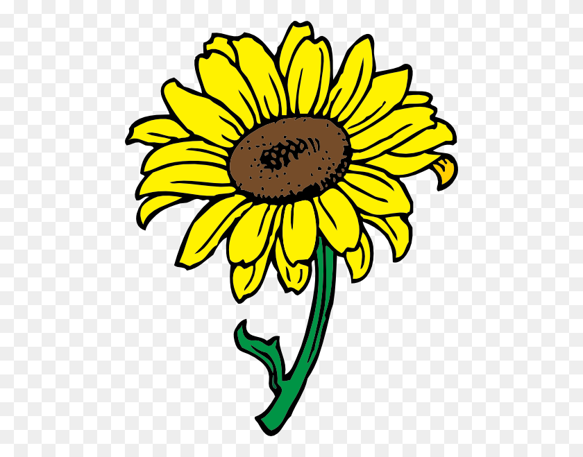 480x599 Sunflower Clip Art Free Vector - Airboat Clipart
