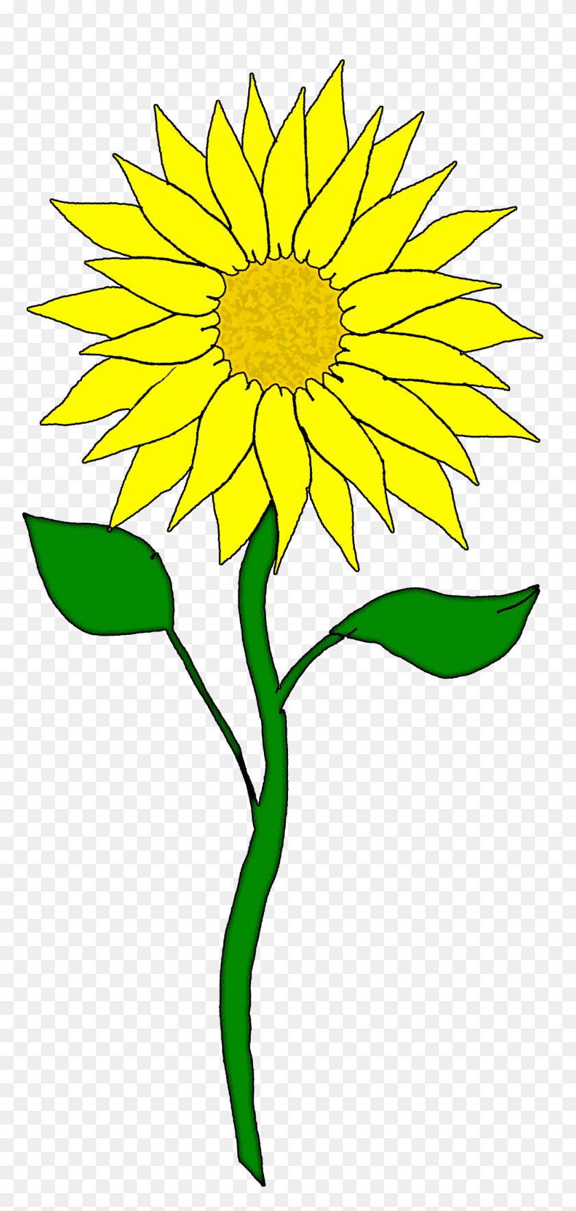 980x2144 Sunflower Clip Art Images Black - Sunshine Images Clip Art