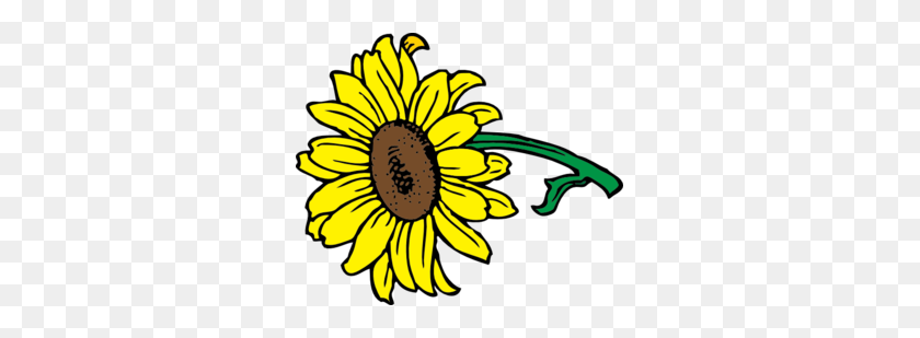 299x249 Sunflower Clip Art Vector Clip Art Online Royalty Free Public - Sunflower Clipart Transparent