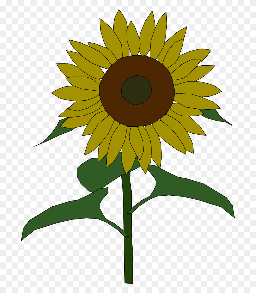 701x900 Sunflower Clip Arts Download - Sunflower PNG
