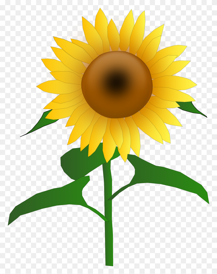 1495x1920 Sunflower Clipart Commercial Use - Marigold Clipart