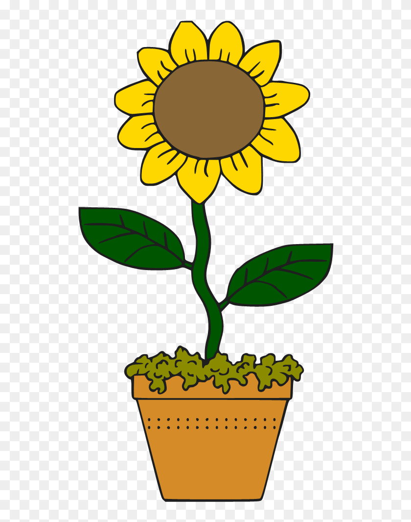544x1005 Sunflower Clipart Potted - Sunflower Clip Art Free