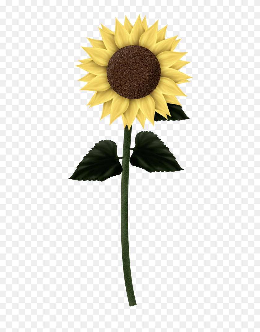 2000x2600 Sunflower Clipart Tree - Americana Clip Art