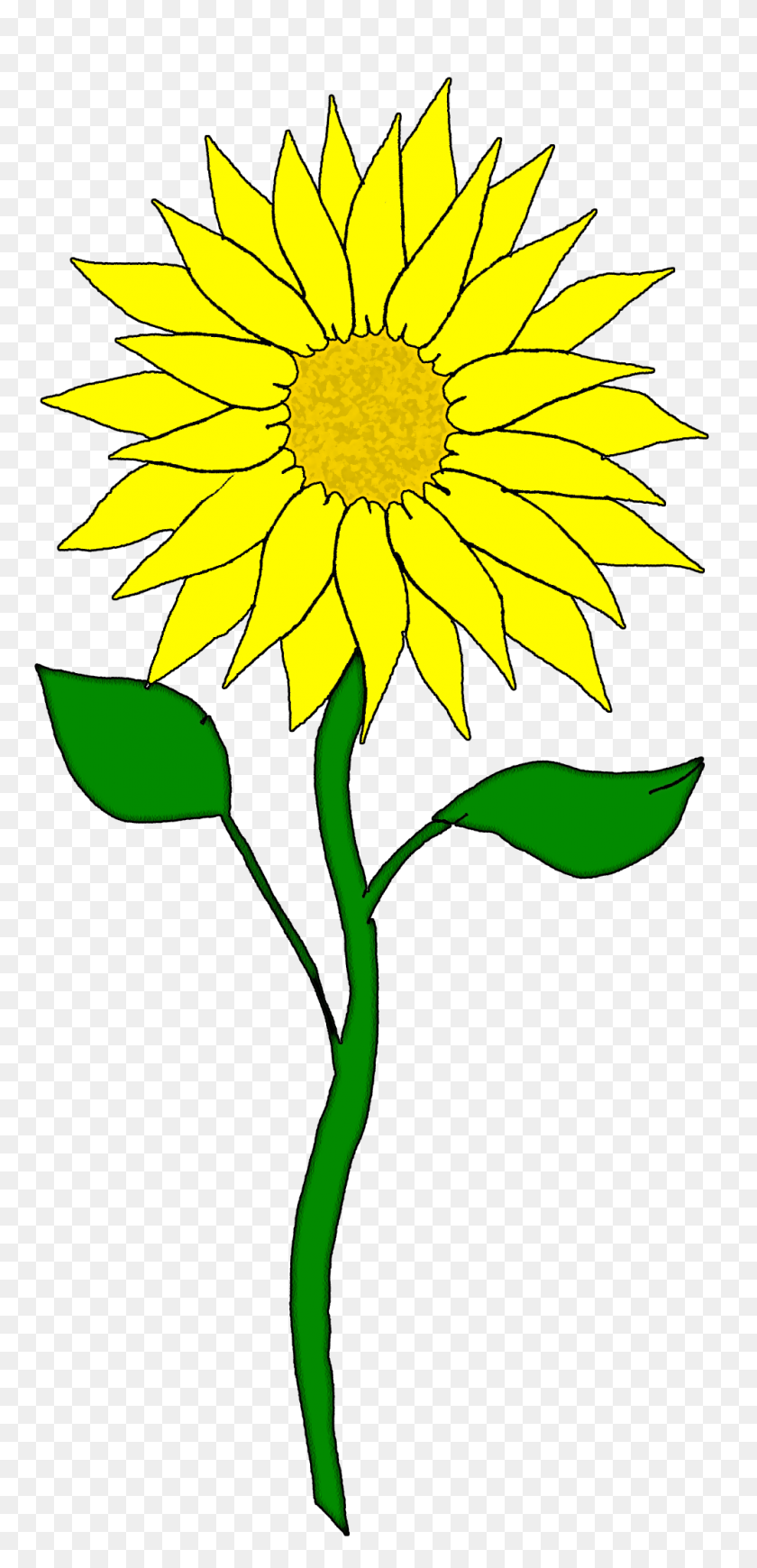 768x1680 Sunflower Free Sunflower Clip Art Free Clipart Images - Slumber Party Clipart