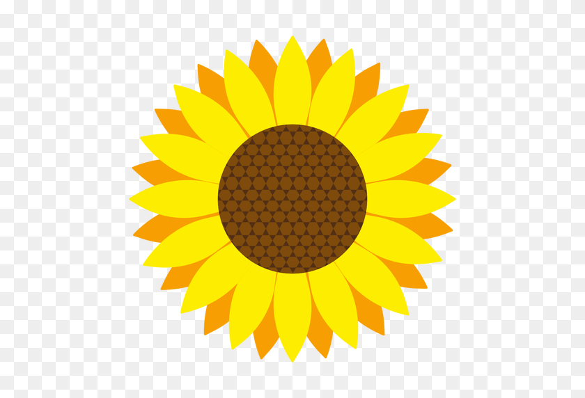 512x512 Sunflower Head Vector - Pollen Clipart
