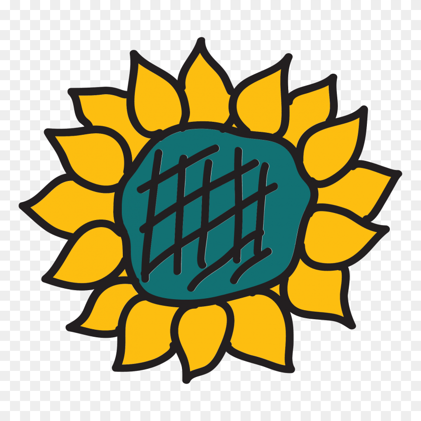 1600x1600 Sunflower Icon - Sunflower PNG