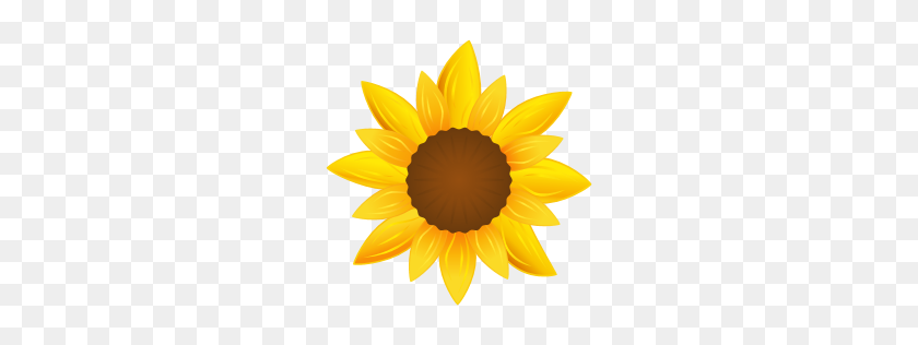 256x256 Sunflower Icon Agriculture Iconset Xaml Icon Studio - Sunflower Emoji PNG