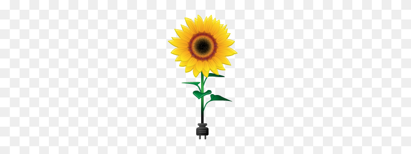 256x256 Sunflower Icon Free Environment Iconset Ergosign - Sunflower Emoji PNG