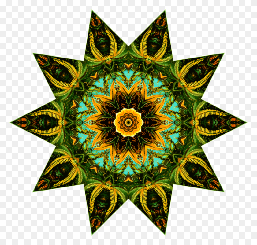 789x750 Sunflower M Symmetry - Sunflower Seed Clipart