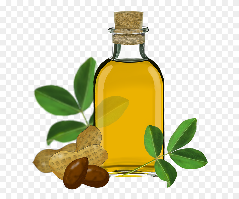 640x640 Sunflower Oil Clipart With Nuts Png Image - Olive Oil PNG