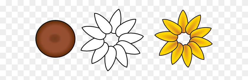 600x213 Sunflower Petals Clipart Outline - Sunflower Clipart Outline