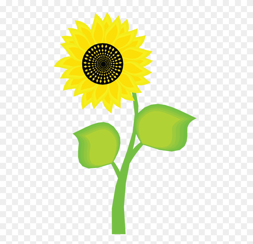 484x749 Sunflower Png Cartoon - Flower Cartoon PNG