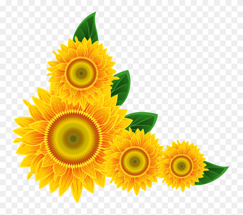 1600x1402 Sunflower Png Image - Sunflower PNG