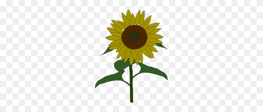 233x300 Sunflower Seed Clip Art - Planting Seeds Clipart