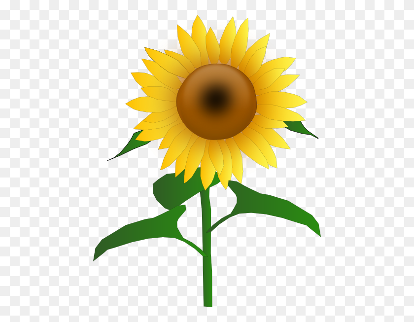 462x593 Sunflower Transparent Png Pictures - Stem PNG