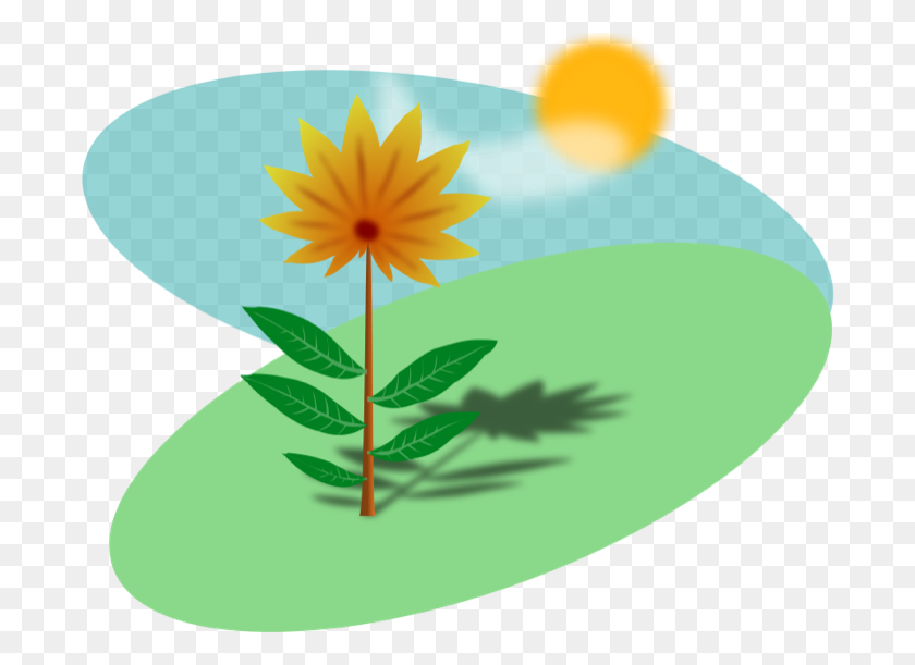 700x551 Sunshine Clipart Nice Weather - Sun Clipart Pictures