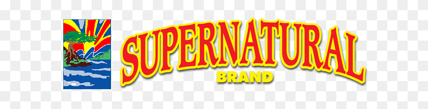 624x155 Supernatural Brand Full Logo Supernatural Brand - Supernatural Logo PNG