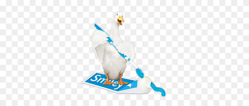300x300 Supplemental Individual Dental Insurance Policy Aflac - Aflac Logo PNG