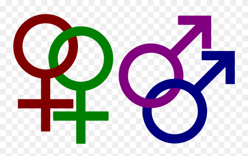 800x481 Supreme Court Judgement Relating To Homosexuality S Of Ipc - Supreme Court Clipart
