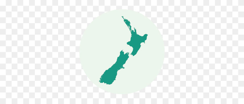 300x300 Asociación De Electricidad Sostenible De Nueva Zelanda - Nueva Zelanda Png