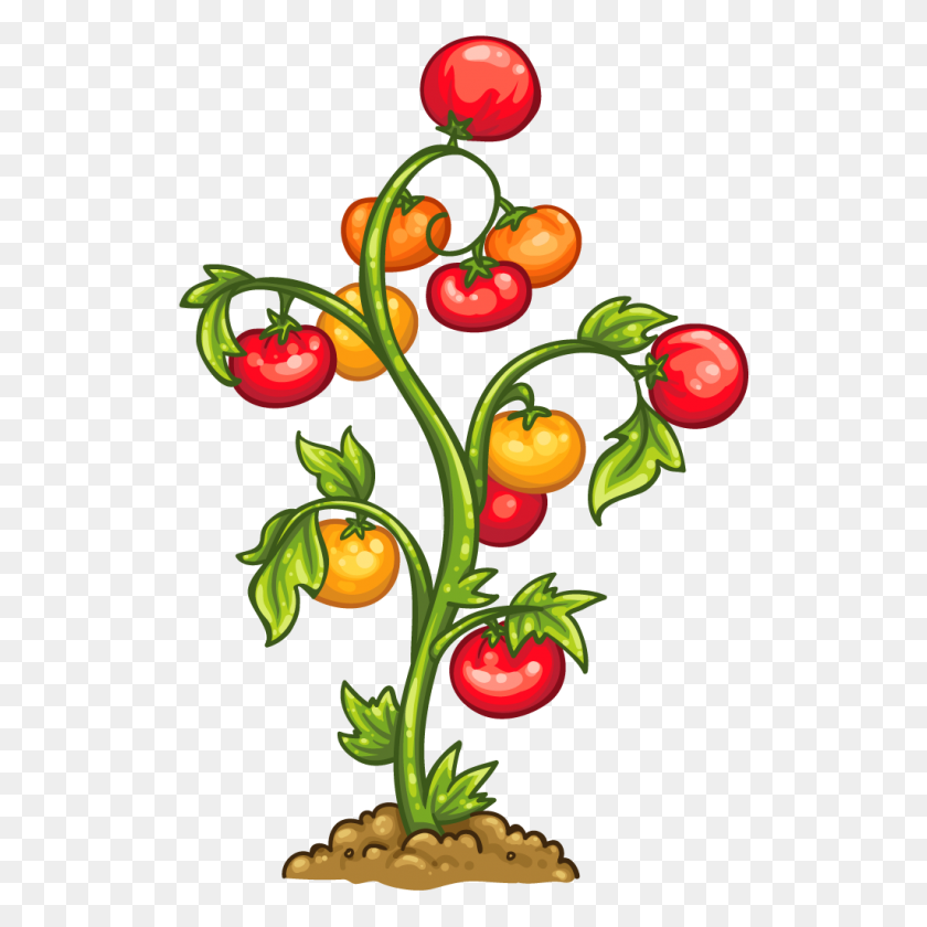 1024x1024 Suzanne Carvell Writer A Few Good Stories For Your Reading Pleasure - Tomato Plant PNG