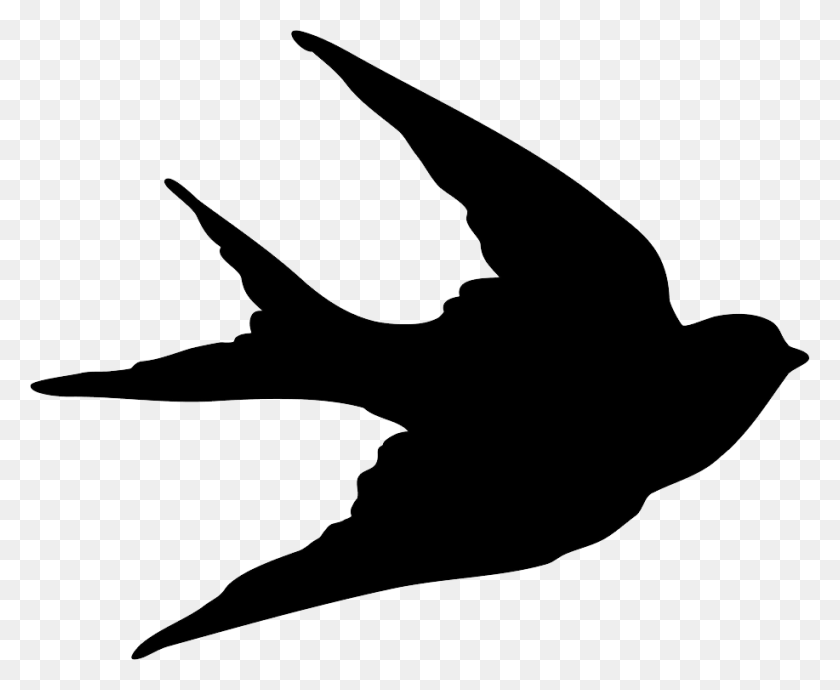 917x741 Swallow Png Images Free Download - Swallow Clipart