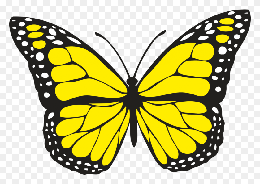 1091x750 Махаон Бабочка Насекомое Бабочка Монарх Лорел Махаон - Бабочка Монарх Клипарт