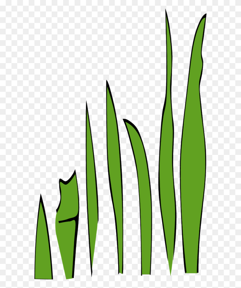 600x944 Swamp Clipart Green Grass - Reed Clipart