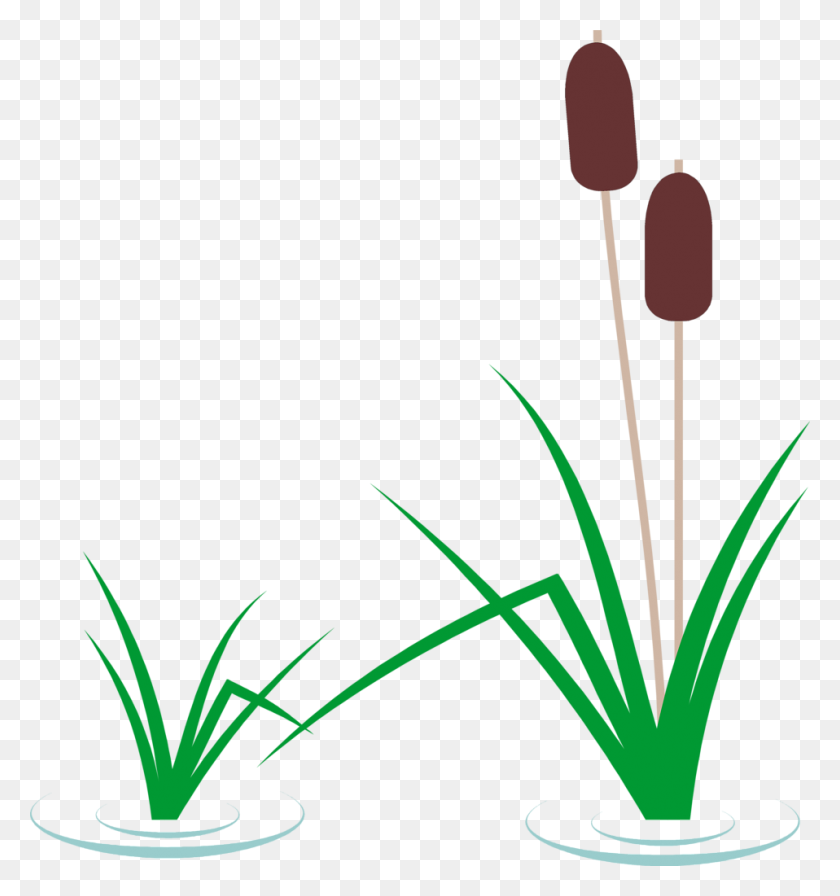 958x1027 Swamp Clipart Usage Water - Tall Grass Clipart