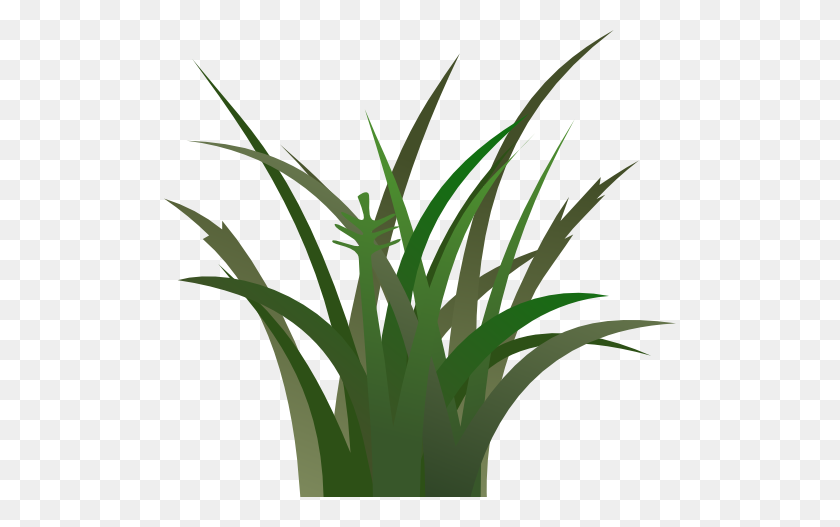 512x467 Swamp Grass Clipart - Swamp Clipart Black And White