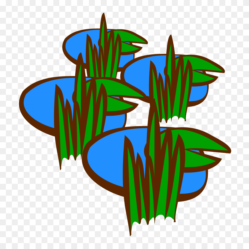 2400x2400 Swamp Icons Png - Swamp PNG