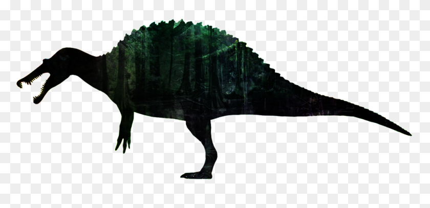 1000x447 Pantano Spinosaurus - Spinosaurus Png