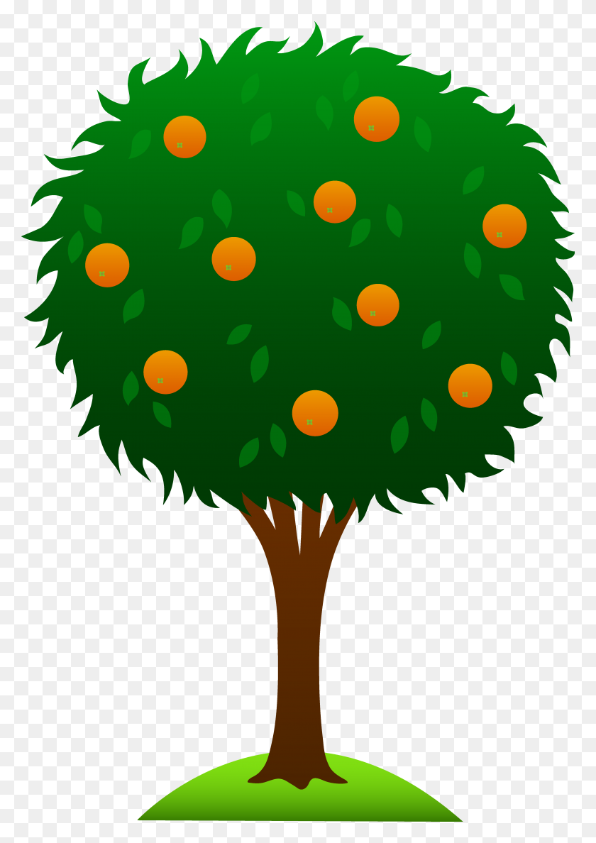 4497x6508 Сладкое Апельсиновое Дерево - Treeline Clipart