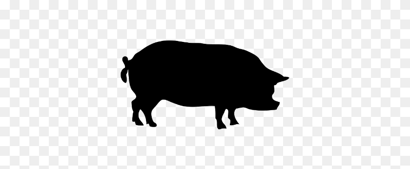 384x287 Быстрая Свиная Стыковая Кость В Avg Food Service International - Pig Butt Clipart