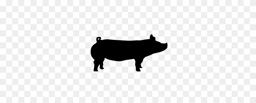 280x280 Productos Porcinos - Imágenes Prediseñadas De Silueta De Cerdo