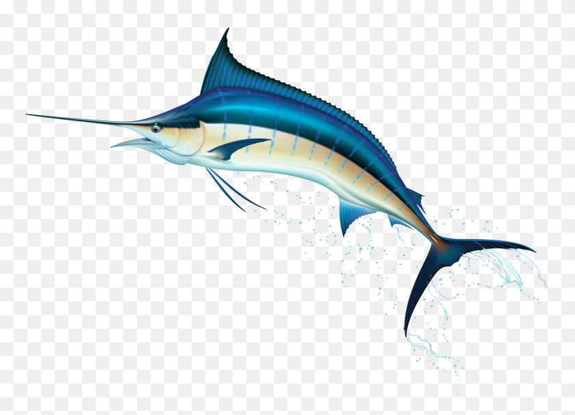 3069x2152 Swordfish Png Clip Art - Sailfish Clipart