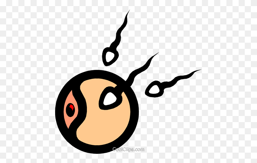 480x474 Symbol Of Sperm Egg Royalty Free Vector Clip Art Illustration - Reproduction Clipart
