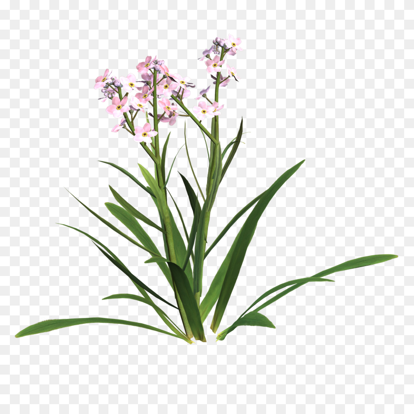 1600x1600 Sympathy Thank You Flowers Clipart - Orchid Clipart