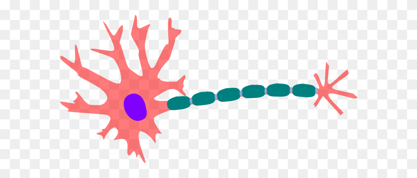 600x298 Synapse Clipart Neuron Clipart - Cytoplasm Clipart