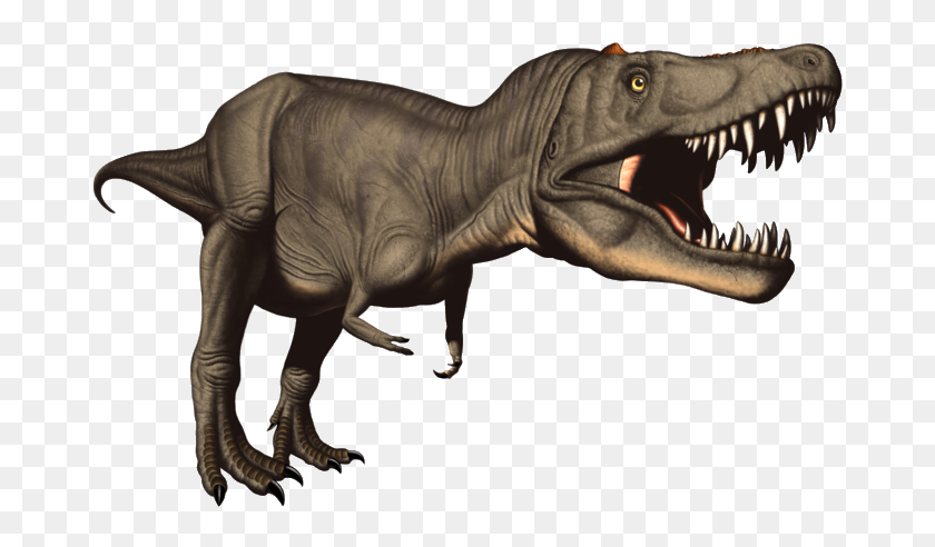 700x432 Т Рекс Динозавр Клипарт - Динозавр Png