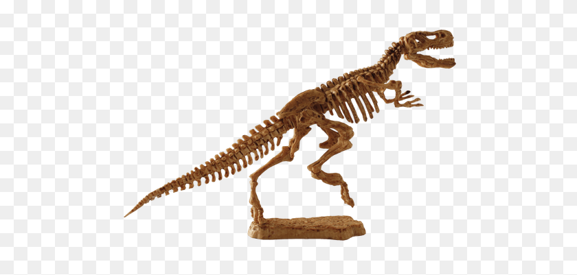 500x341 T Rex Fossil Transparent Png - Trex PNG
