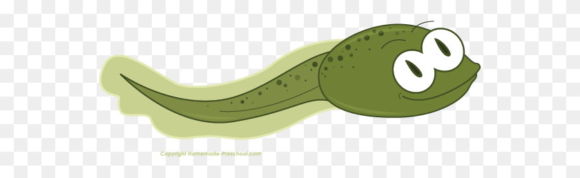 554x198 Tadpole Clipart Look At Tadpole Clip Art Images - Frog Pond Clipart