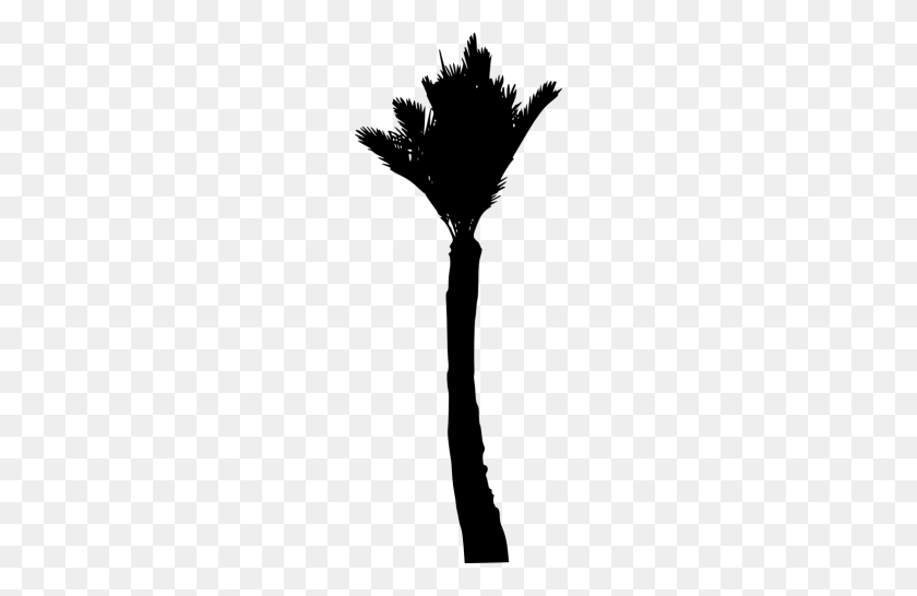 190x486 Tags - Palm Tree Silhouette PNG