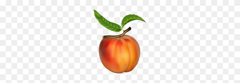 190x230 Tags - Peach Emoji PNG