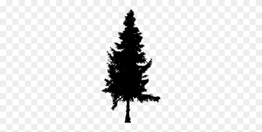 190x366 Tags - Pine Tree Silhouette PNG